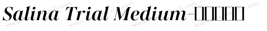 Salina Trial Medium字体转换